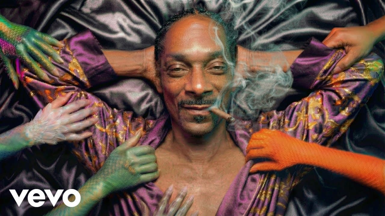 Snoop Dogg - No Ticcet Needed ft. Kanobby