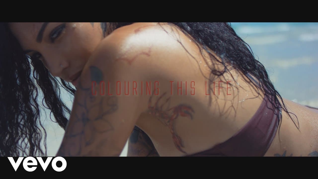 VybzKartelVEVO - Vybz Kartel - Colouring This Life