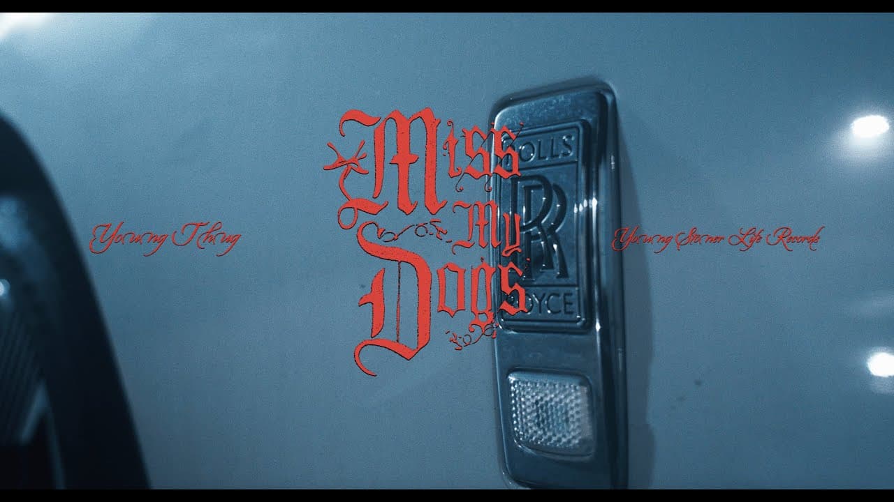 Young Thug - Miss My Dogs