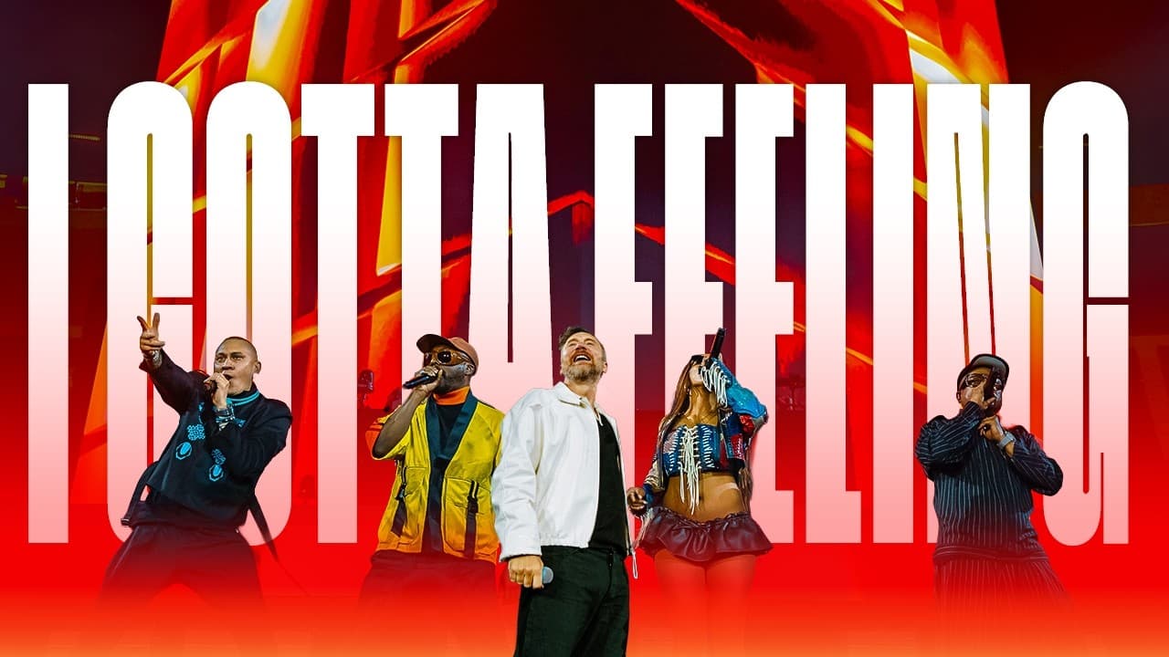 Black Eyed Peas with David Guetta - I Gotta Feeling (Live @ Stade de France)