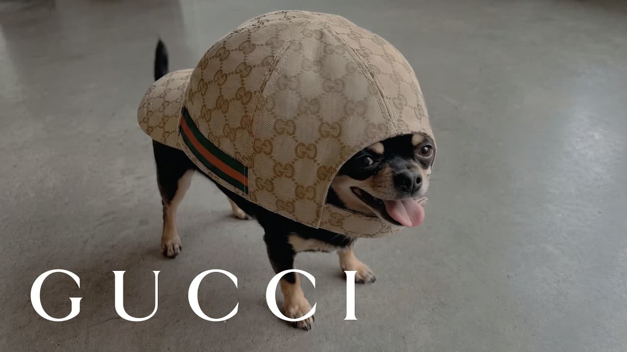 GucciCore